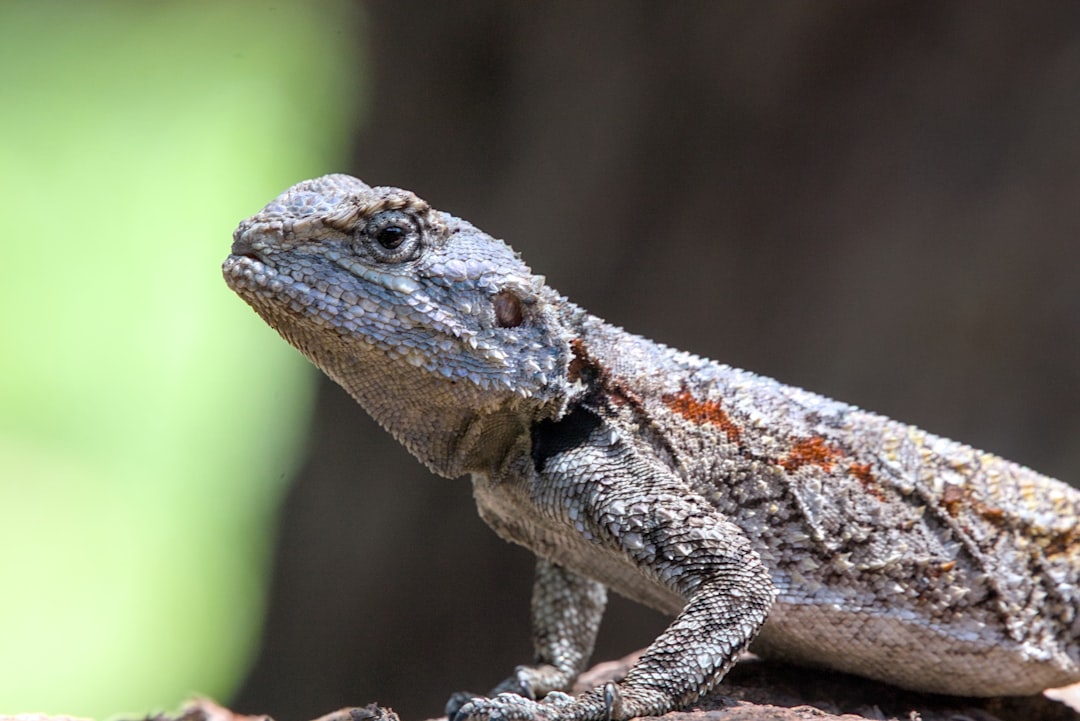 Spaarrente bij Rabobank: alles over wat je krijgt op je spaargeld
