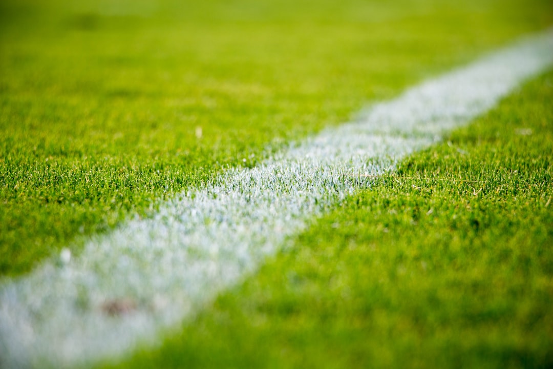 Nederlands voetbal: van de begindagen tot de top van Europa